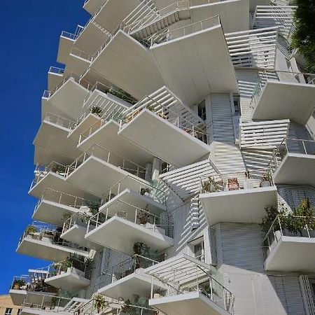 Arbre Blanc, Une Folie Montpellieraine Exterior photo